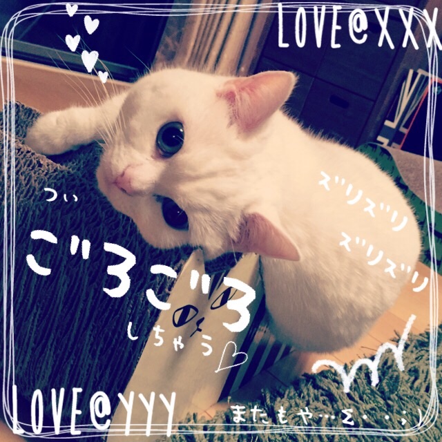 f:id:belly0628:20150501223338j:image f:id:belly0628:20150501223338j:image