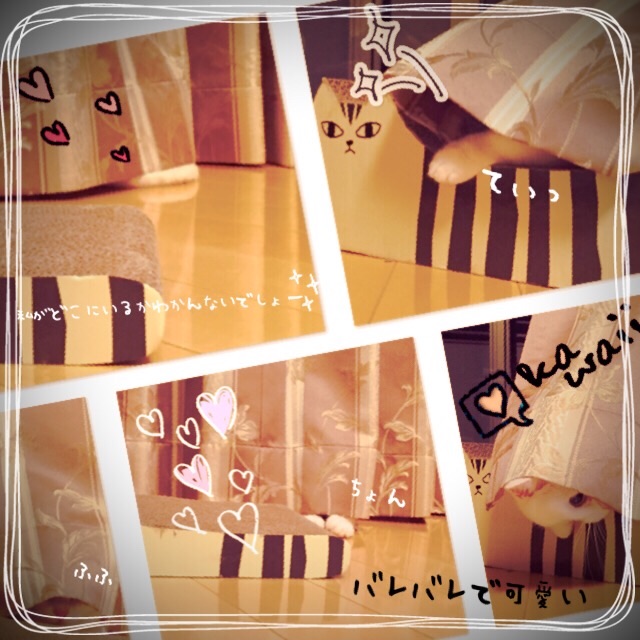 f:id:belly0628:20150502095301j:image f:id:belly0628:20150502095301j:image