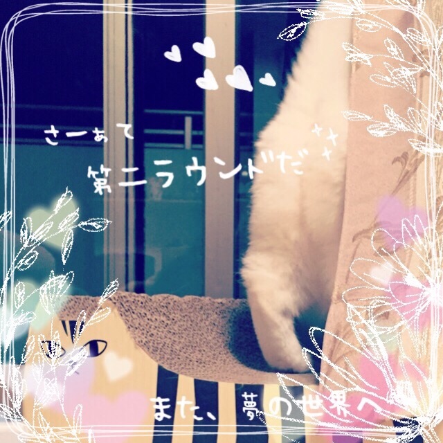 f:id:belly0628:20150502095332j:image f:id:belly0628:20150502095332j:image