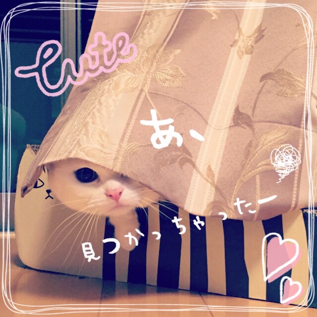 f:id:belly0628:20150502100553j:image f:id:belly0628:20150502100553j:image