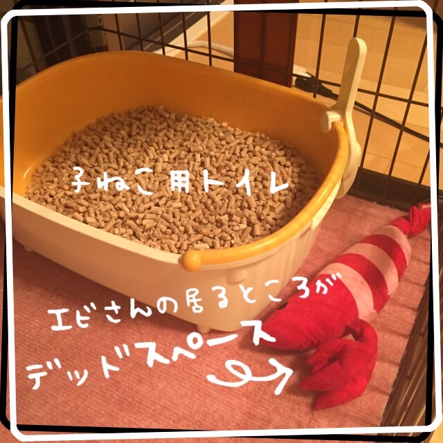 f:id:belly0628:20150502205244j:image f:id:belly0628:20150502205244j:image