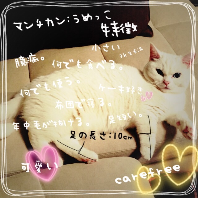 f:id:belly0628:20150503075136j:image f:id:belly0628:20150503075136j:image