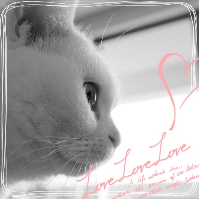 f:id:belly0628:20150503075859j:image f:id:belly0628:20150503075859j:image