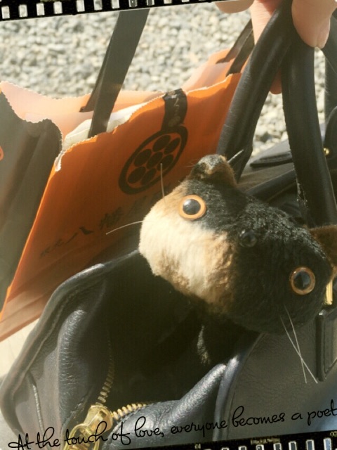 f:id:belly0628:20150504094029j:image f:id:belly0628:20150504094029j:image
