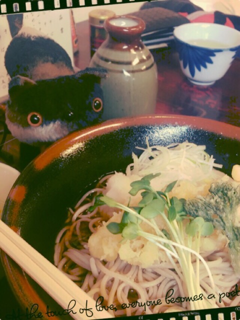 f:id:belly0628:20150504094045j:image f:id:belly0628:20150504094045j:image