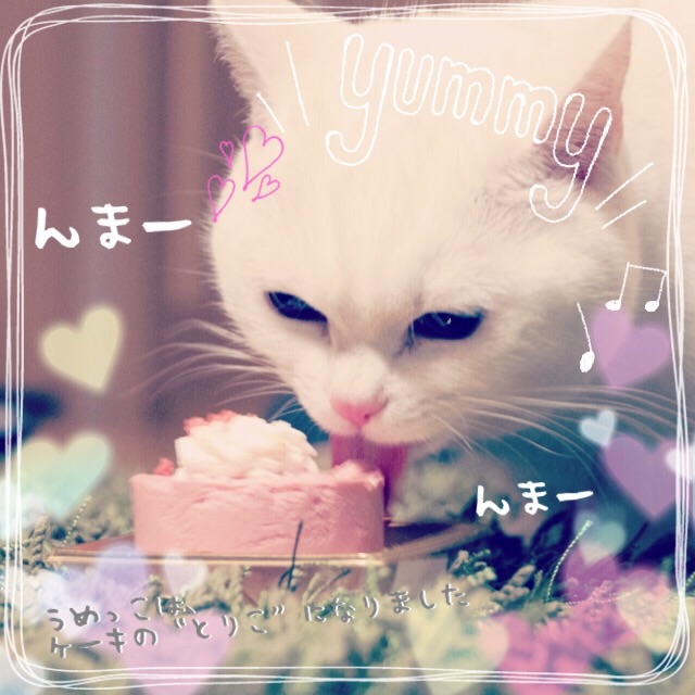 f:id:belly0628:20150506235138j:image f:id:belly0628:20150506235138j:image
