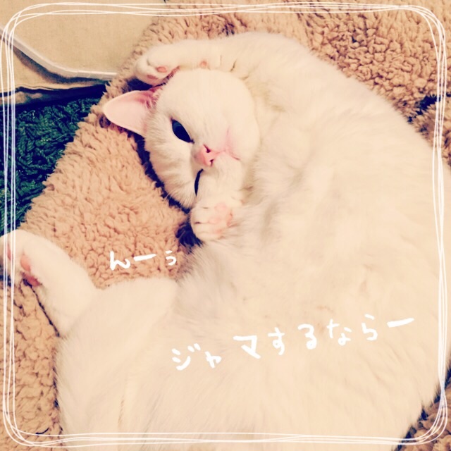 f:id:belly0628:20150509103950j:image f:id:belly0628:20150509103950j:image