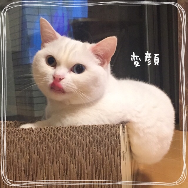 f:id:belly0628:20150514221234j:image f:id:belly0628:20150514221234j:image