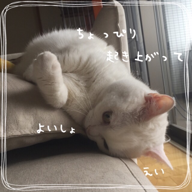 f:id:belly0628:20150517115134j:image f:id:belly0628:20150517115134j:image