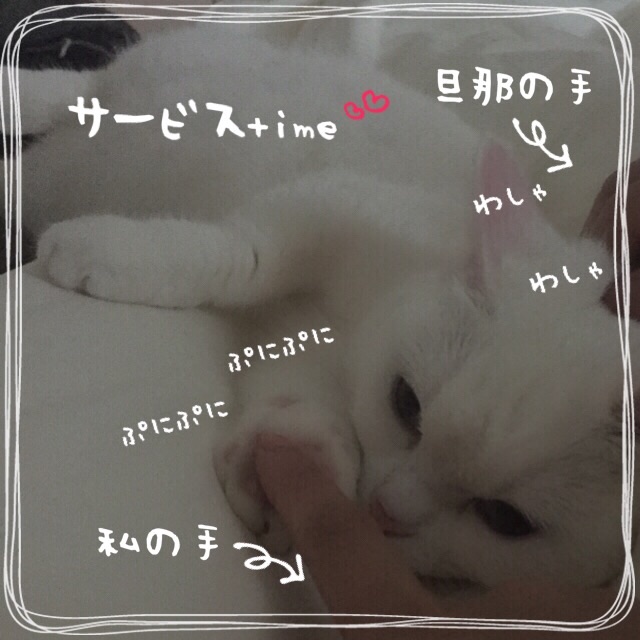 f:id:belly0628:20150517195749j:image f:id:belly0628:20150517195749j:image
