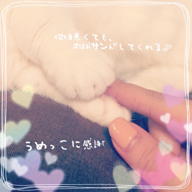 f:id:belly0628:20150518231205j:image f:id:belly0628:20150518231205j:image