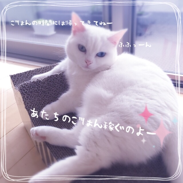 f:id:belly0628:20150526224504j:image f:id:belly0628:20150526224504j:image
