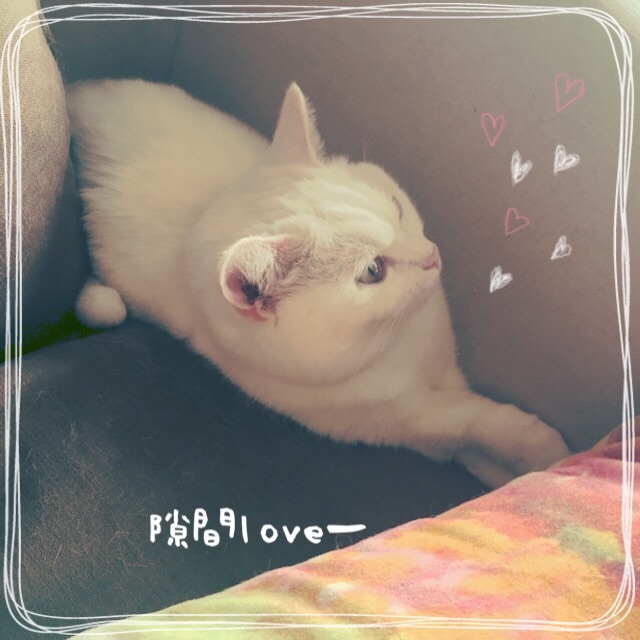 f:id:belly0628:20150527203641j:image f:id:belly0628:20150527203641j:image