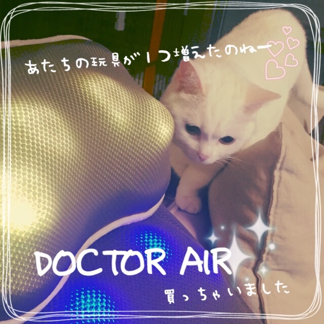 f:id:belly0628:20150527212104j:image f:id:belly0628:20150527212104j:image