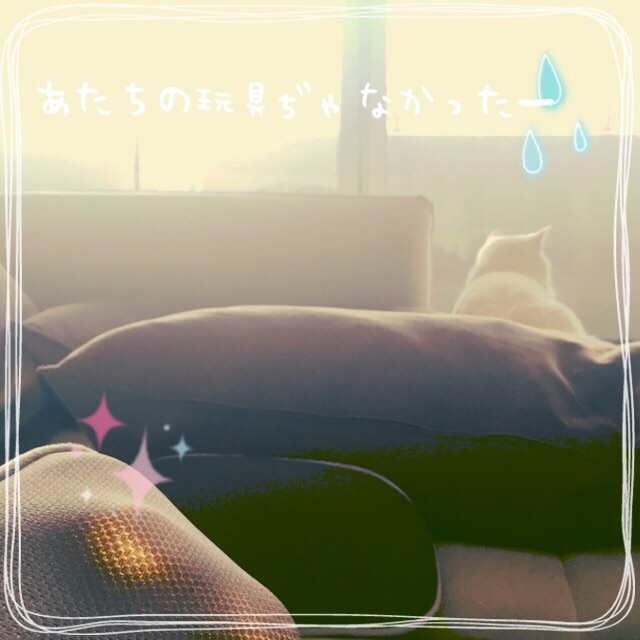 f:id:belly0628:20150527224155j:image f:id:belly0628:20150527224155j:image
