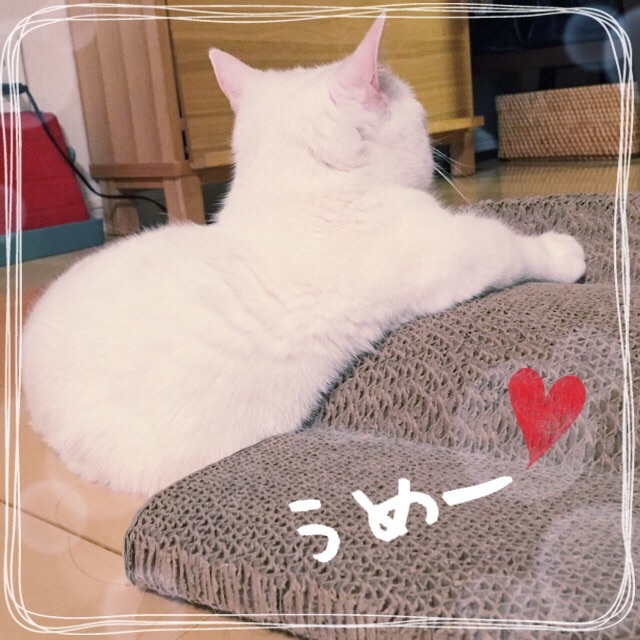 f:id:belly0628:20150529011812j:image f:id:belly0628:20150529011812j:image
