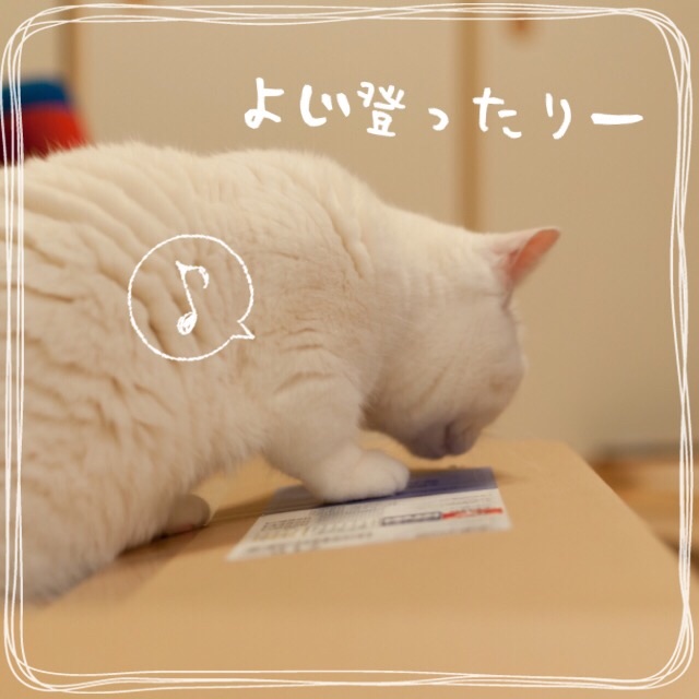 f:id:belly0628:20150530131827j:image f:id:belly0628:20150530131827j:image