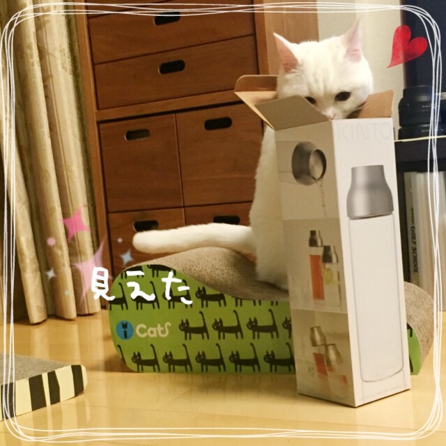 f:id:belly0628:20150607022204j:image f:id:belly0628:20150607022204j:image