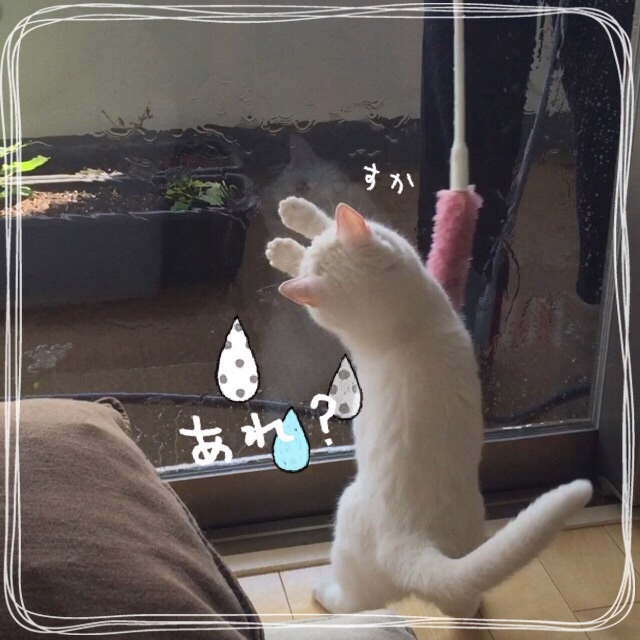 f:id:belly0628:20150607202301j:image f:id:belly0628:20150607202301j:image