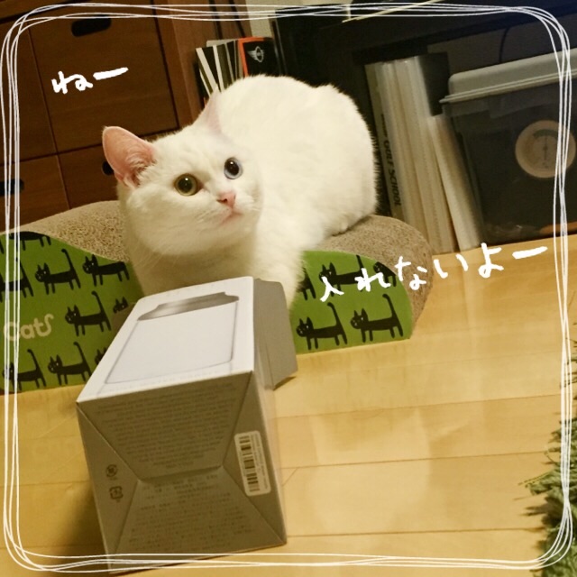 f:id:belly0628:20150607203524j:image f:id:belly0628:20150607203524j:image