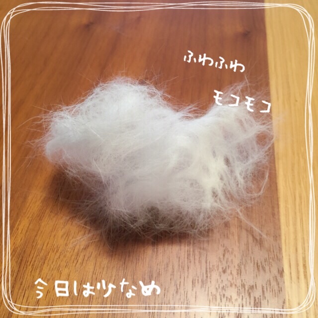 f:id:belly0628:20150608002045j:image f:id:belly0628:20150608002045j:image