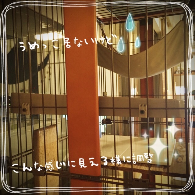 f:id:belly0628:20150608234628j:image f:id:belly0628:20150608234628j:image
