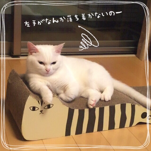 f:id:belly0628:20150613204112j:image f:id:belly0628:20150613204112j:image