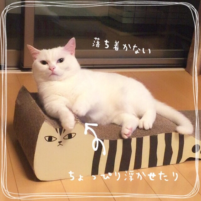 f:id:belly0628:20150613204157j:image f:id:belly0628:20150613204157j:image