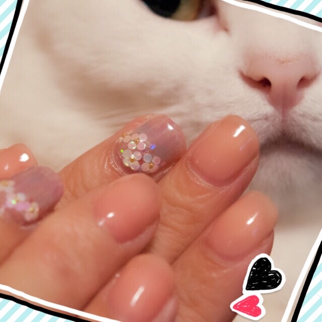f:id:belly0628:20150615100021j:image f:id:belly0628:20150615100021j:image