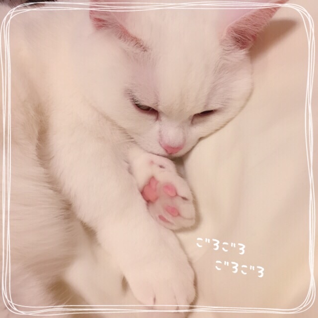 f:id:belly0628:20150621182430j:image f:id:belly0628:20150621182430j:image