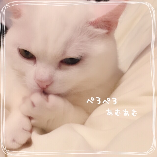 f:id:belly0628:20150621182435j:image f:id:belly0628:20150621182435j:image