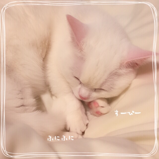 f:id:belly0628:20150621182442j:image f:id:belly0628:20150621182442j:image