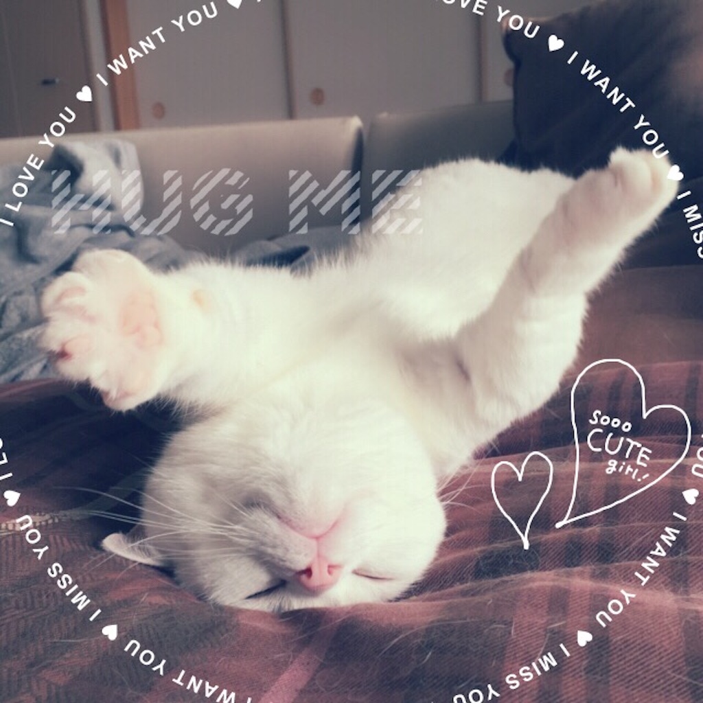 f:id:belly0628:20150717214627j:image f:id:belly0628:20150717214627j:image