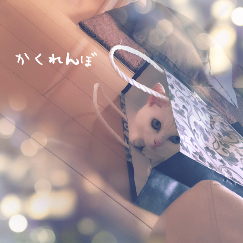 f:id:belly0628:20151009182032p:image f:id:belly0628:20151009182032p:image