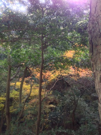 f:id:bennybebad:20131211102721j:plain