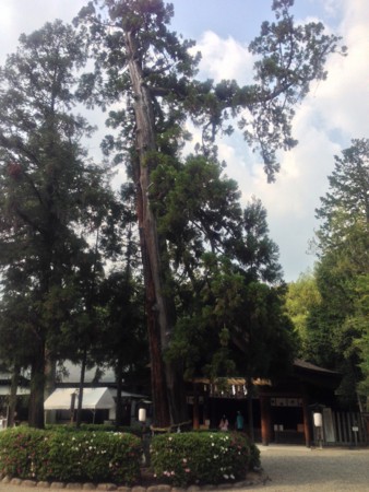 f:id:bennybebad:20140426142702j:plain