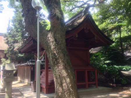 f:id:bennybebad:20140506114927j:plain f:id:bennybebad:20140506114927j:plain