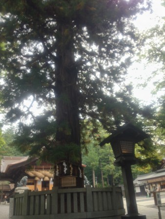 f:id:bennybebad:20140924090640j:plain