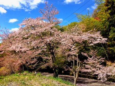 f:id:bennybebad:20150411113259j:plain f:id:bennybebad:20150411113259j:plain