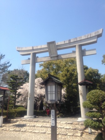 f:id:bennybebad:20150717203330j:plain f:id:bennybebad:20150717203330j:plain