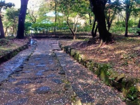 f:id:bennybebad:20150721220408j:plain f:id:bennybebad:20150721220408j:plain