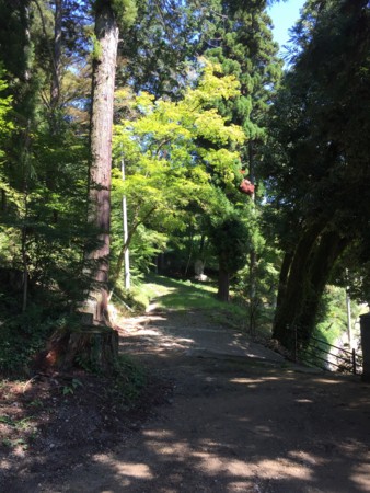 f:id:bennybebad:20151214213430j:plain f:id:bennybebad:20151214213430j:plain