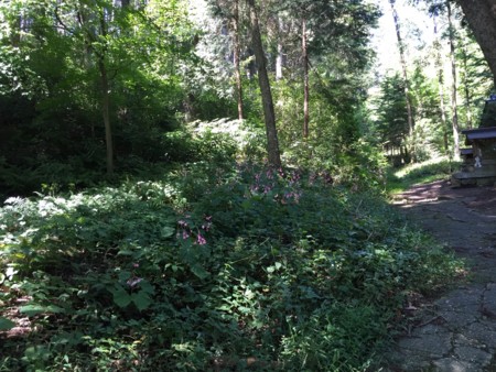 f:id:bennybebad:20151214213456j:plain f:id:bennybebad:20151214213456j:plain