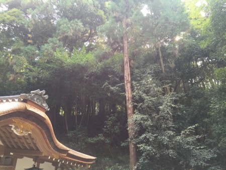 f:id:bennybebad:20160106204048j:plain