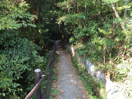 f:id:bennybebad:20160106204058j:plain f:id:bennybebad:20160106204058j:plain