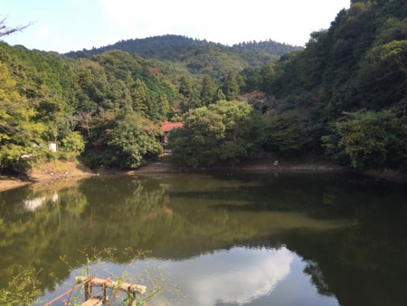 f:id:bennybebad:20160106204105j:plain f:id:bennybebad:20160106204105j:plain