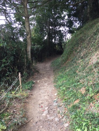 f:id:bennybebad:20160106204108j:plain f:id:bennybebad:20160106204108j:plain