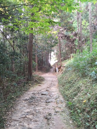 f:id:bennybebad:20160106204112j:plain f:id:bennybebad:20160106204112j:plain