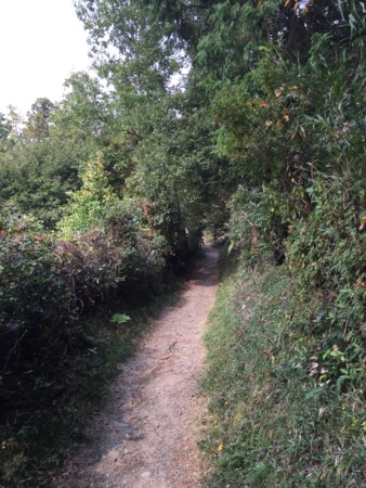 f:id:bennybebad:20160106204113j:plain f:id:bennybebad:20160106204113j:plain