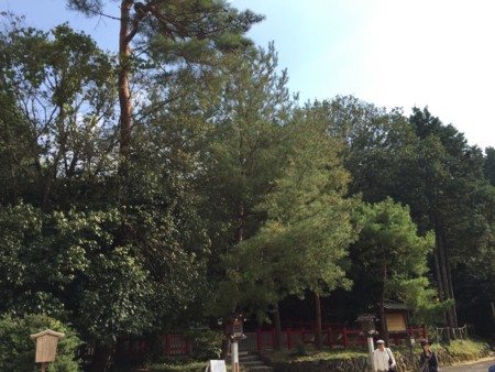 f:id:bennybebad:20160106204122j:plain f:id:bennybebad:20160106204122j:plain